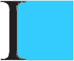 Integral Capital Services